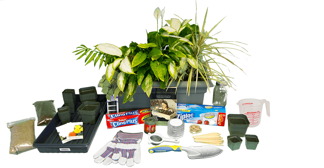 Gardening supplies and plants on black background.